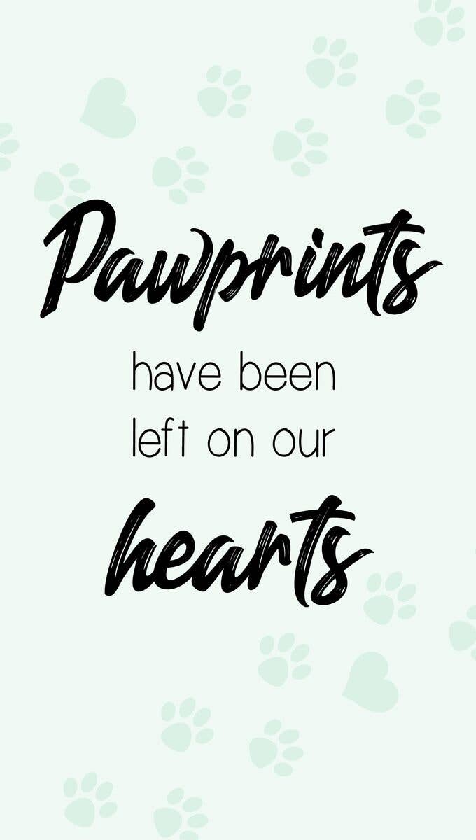 Pawprints Have Been Left On Our Hearts